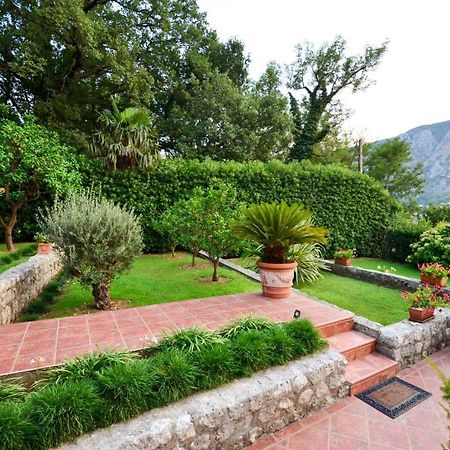 Apartament Djardin Kotor Zewnętrze zdjęcie